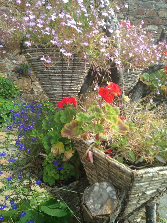 Belstane House Bed & Breakfast Cellardyke Екстериор снимка
